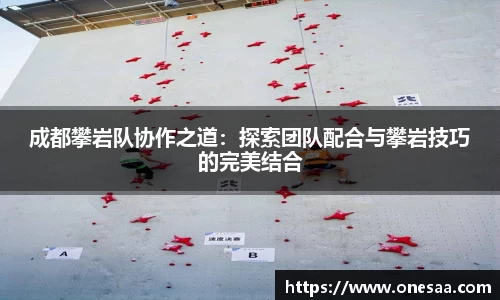 成都攀岩队协作之道：探索团队配合与攀岩技巧的完美结合